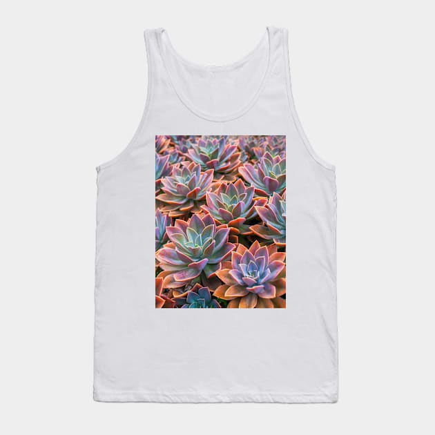 Echeveria Tank Top by runlenarun